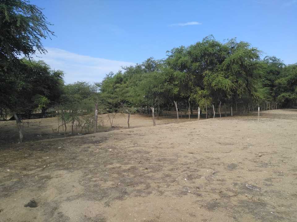 Venta de Terreno en Reque, Lambayeque 300m2 area total - vista principal