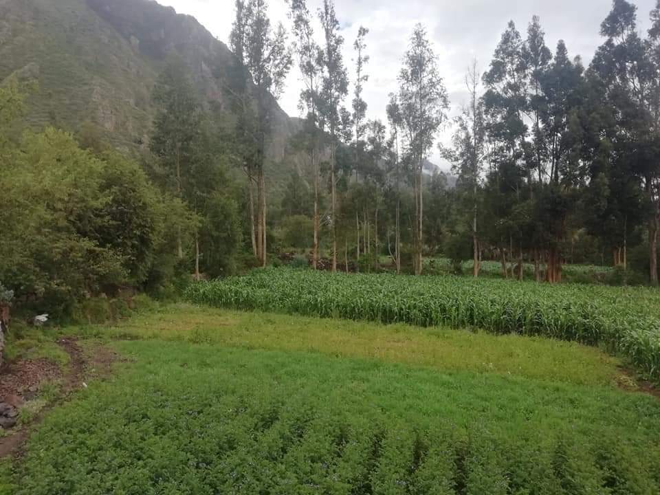 Venta de Terreno en Urubamba, Cusco 400m2 area total - vista principal