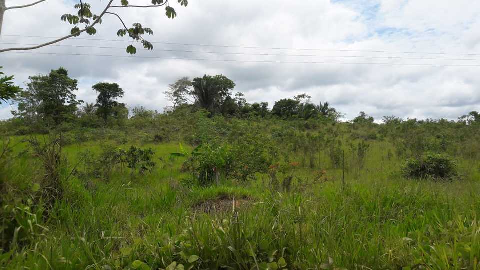 Venta de Terreno en Campoverde, Ucayali - vista principal