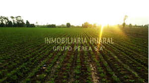 Venta de Terreno en Huaral, Lima 45000m2 area total - vista principal