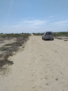 Venta de Terreno en Piura 1000m2 area total estado Entrega inmediata - vista principal