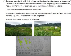 Venta de Terreno en Nuevo Progreso, San Martin 200000m2 area total - vista principal