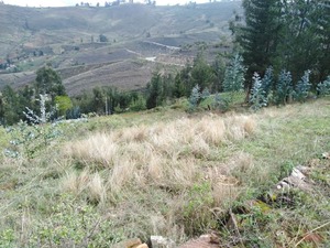 Venta de Terreno en Los Baños Del Inca, Cajamarca 900m2 area total - vista principal