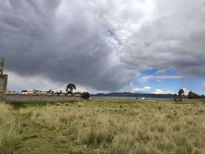 Venta de Terreno en Chucuito, Puno 1820m2 area total - vista principal