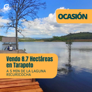 Venta de Terreno en Tarapoto, San Martin 87000m2 area total - vista principal