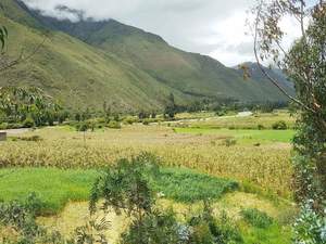 Venta de Terreno en Ollantaytambo, Cusco 9700m2 area total - vista principal