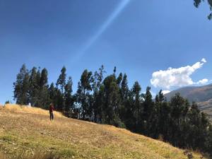 Venta de Terreno en Huancayo, Junin 395m2 area total - vista principal