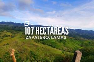 Venta de Terreno en Tarapoto, San Martin 1070000m2 area total - vista principal